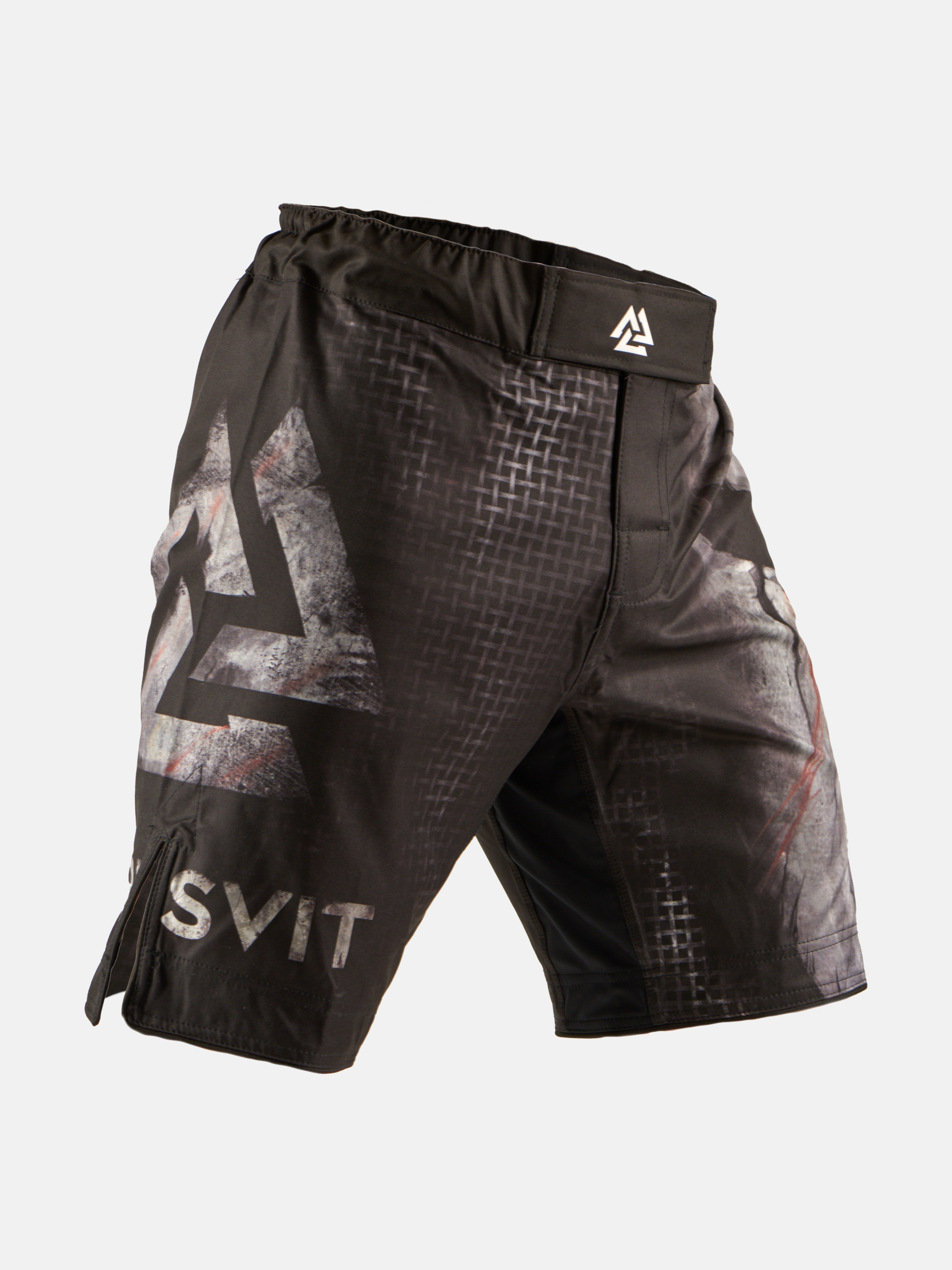 Peresvit Last Stand Fightshorts, Photo № 2