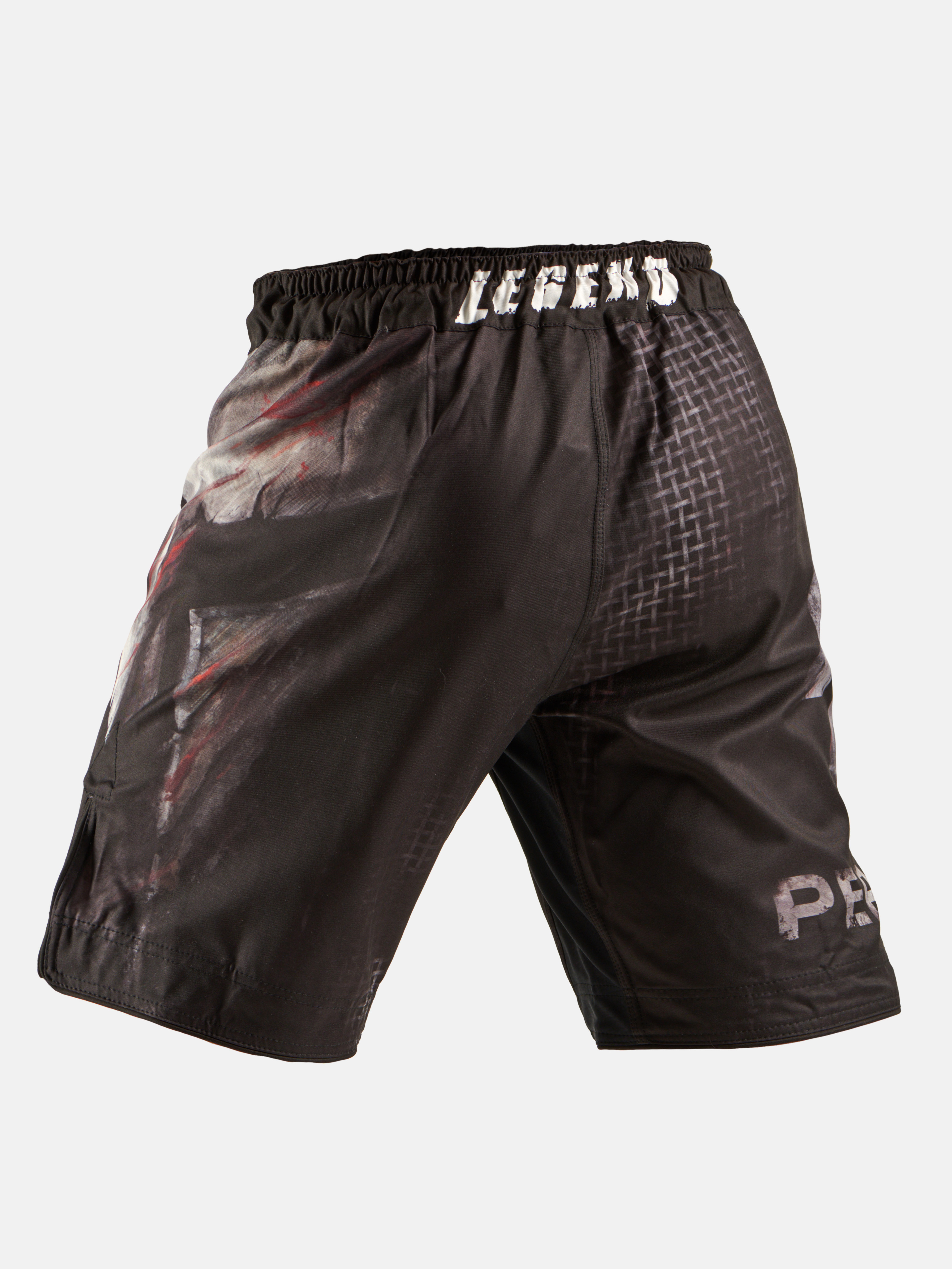 Peresvit Last Stand Fightshorts, Photo № 3