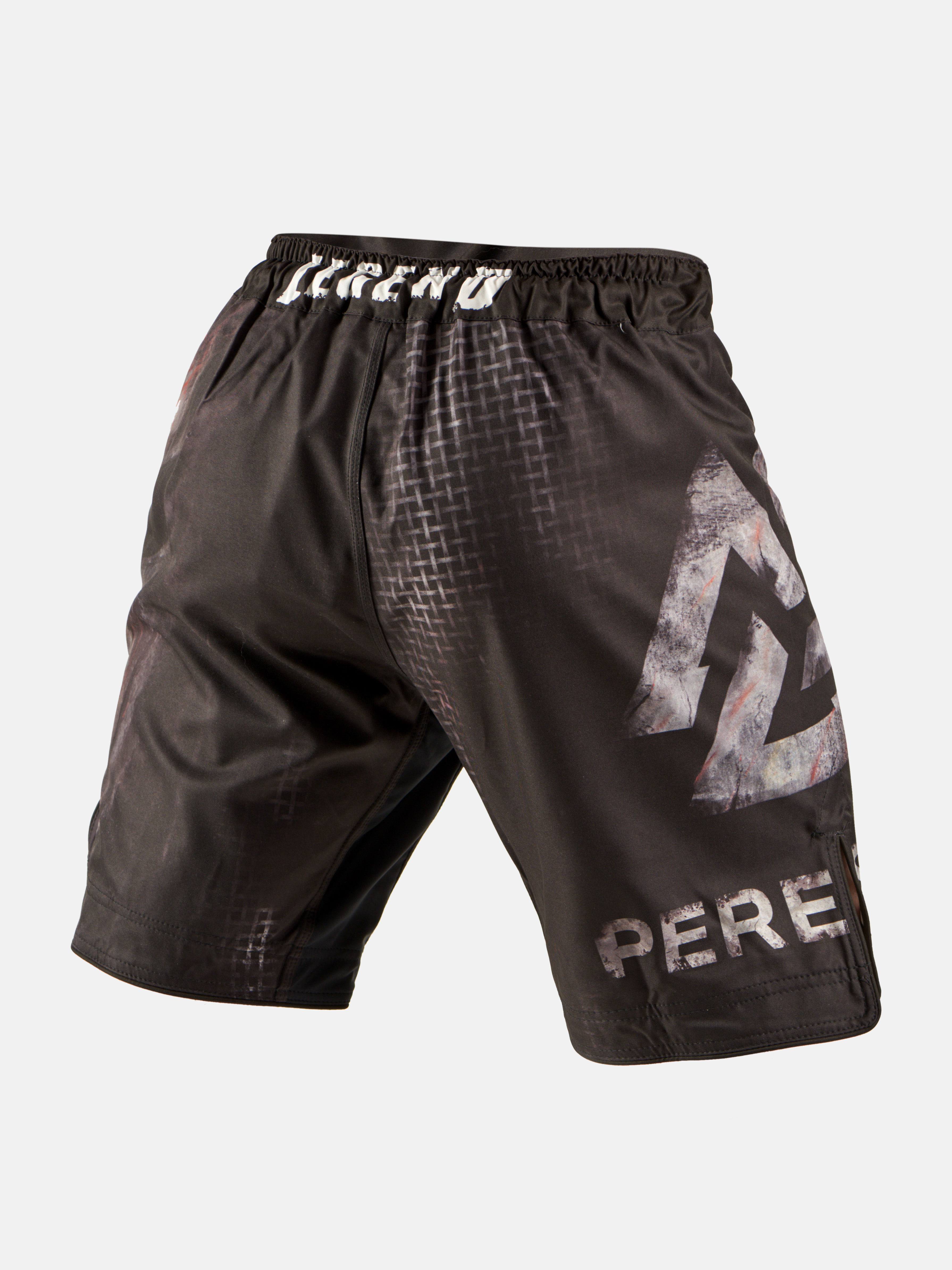 Peresvit Last Stand Fightshorts, Photo № 4