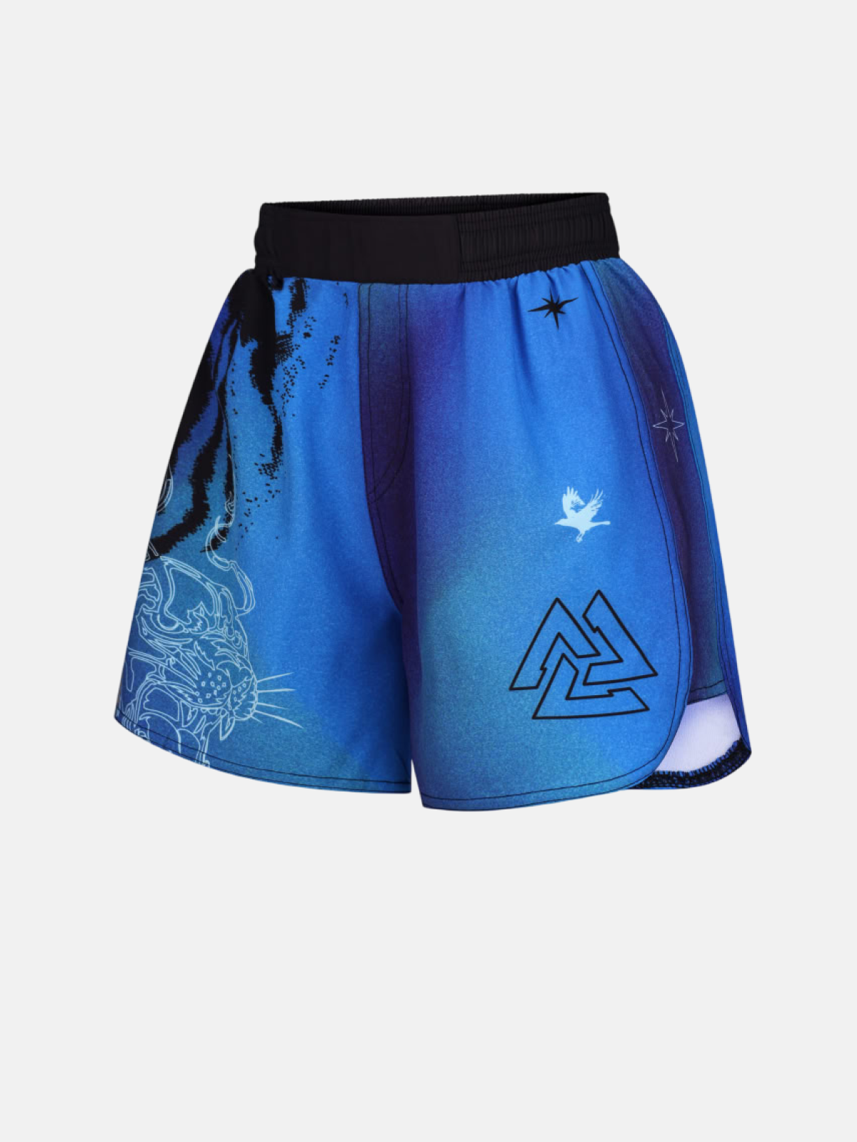 Peresvit Hiss MMA Ladies Fight Shorts, Photo № 3