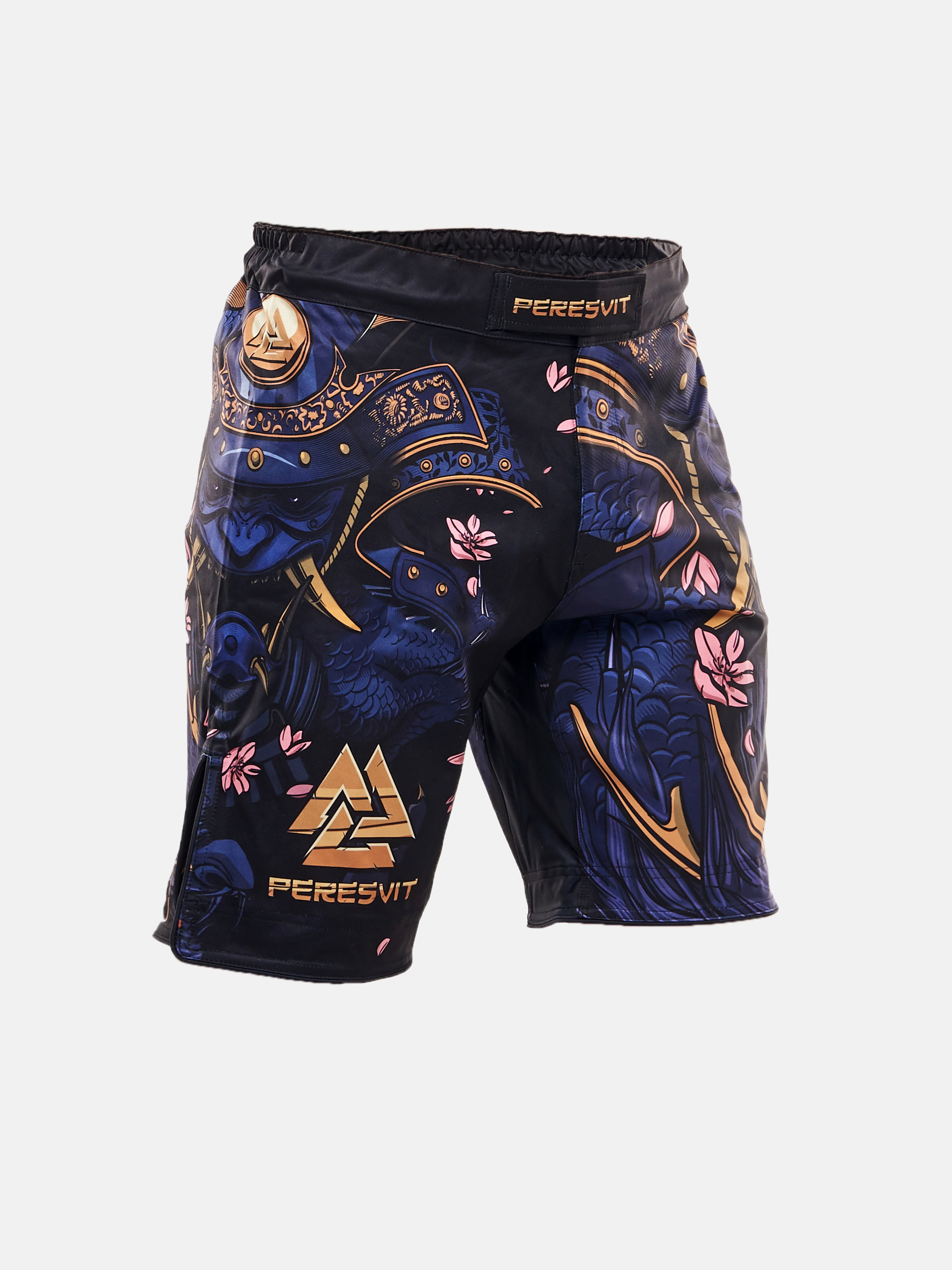 Peresvit Bushi Legend Fight Shorts, Photo № 3