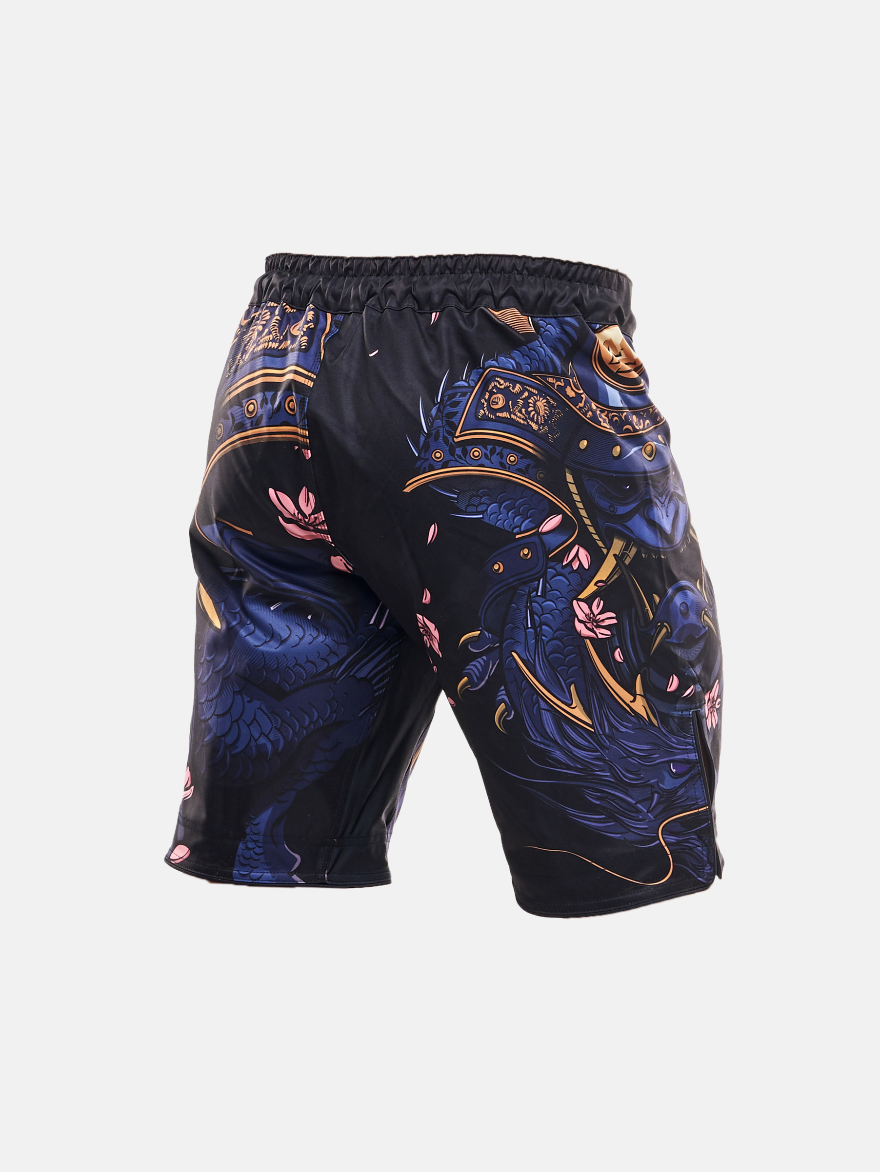 Peresvit Bushi Legend Fight Shorts, Photo № 2
