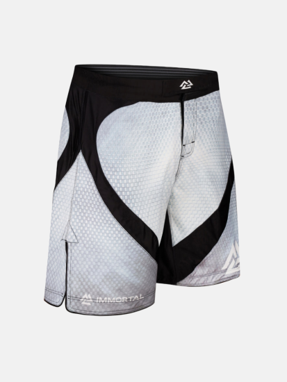 Peresvit Immortal 2.0 Fightshorts Snowstorm Redesigned, Photo № 3
