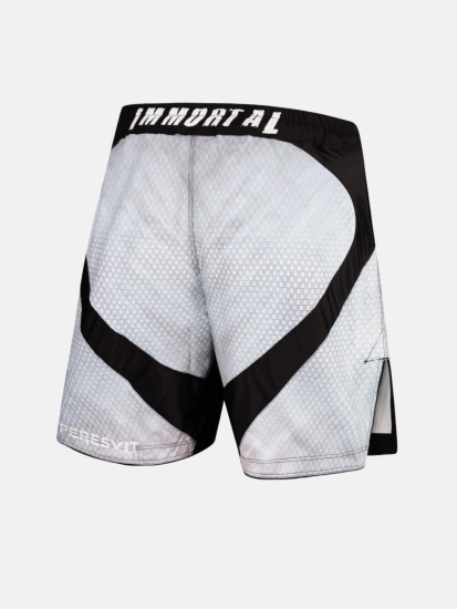 Peresvit Immortal 2.0 Fightshorts Snowstorm Redesigned, Photo № 4