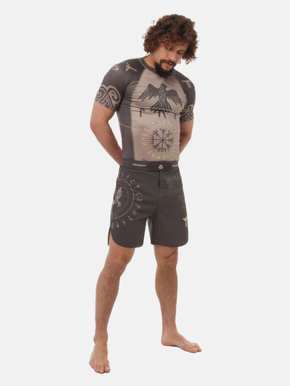 Valhalla Rashguard Short Sleeve Ash Brown, Photo № 5