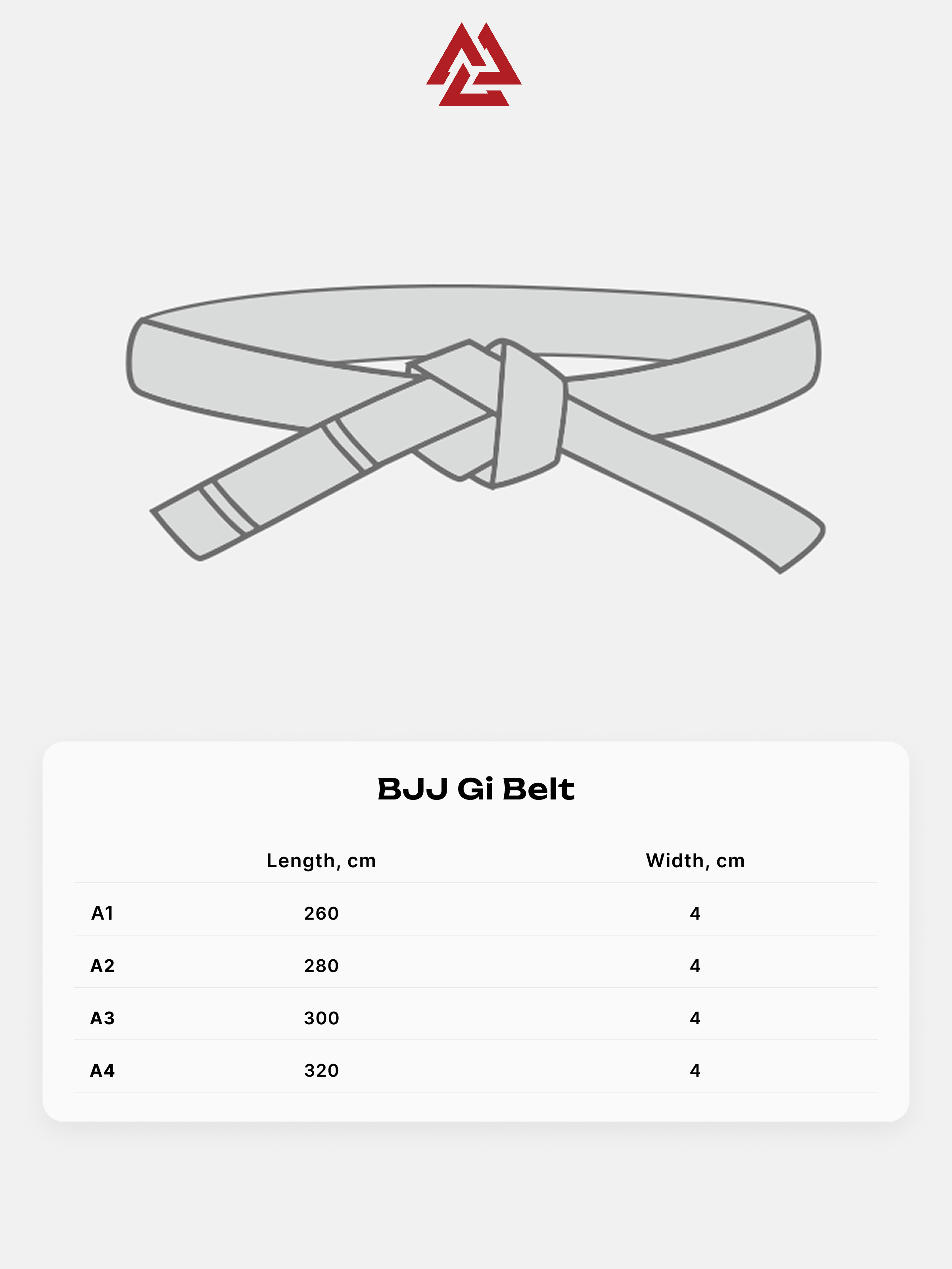 Immortal BJJ Gi Belt Black, Photo № 4