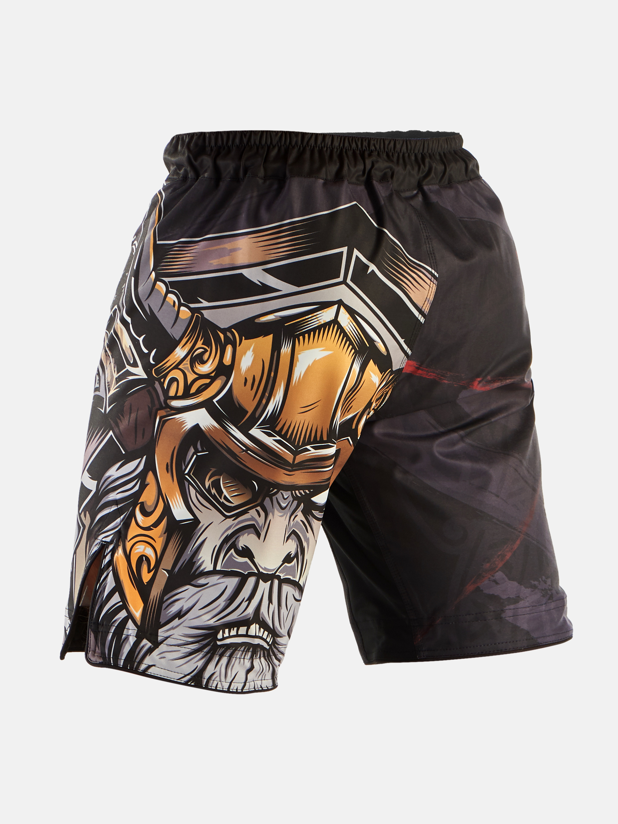 Peresvit Odin Blessing MMA Fight Shorts, Photo № 2