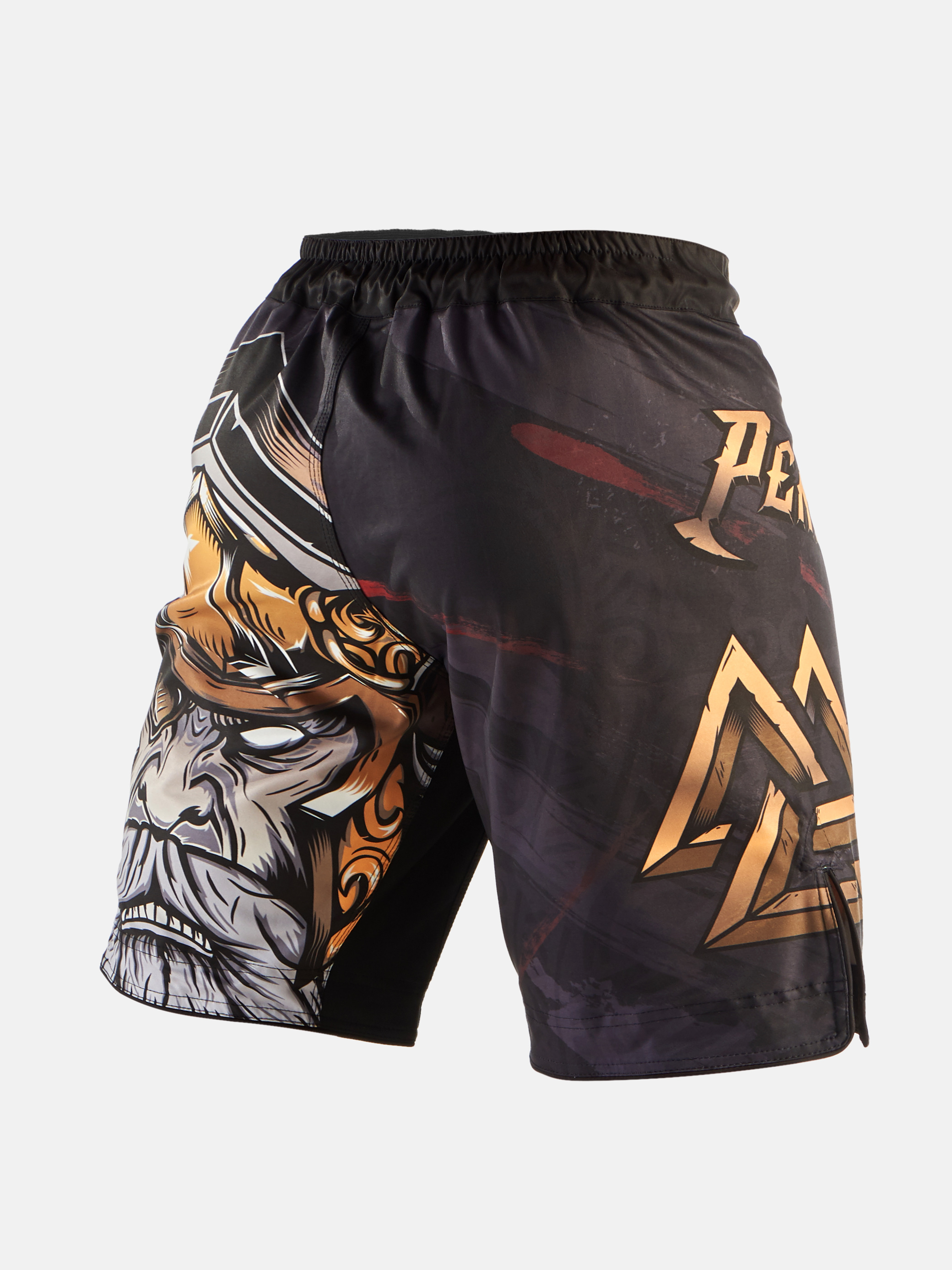 Peresvit Odin Blessing MMA Fight Shorts, Photo № 4