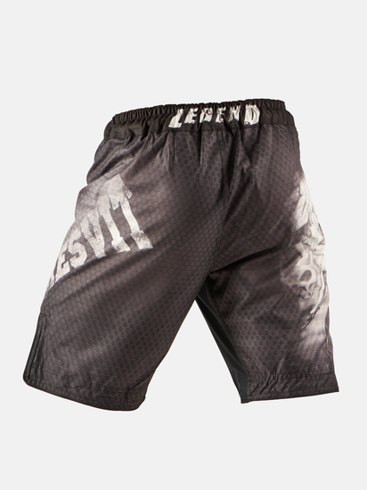 Peresvit Samurai Fury 2.0 Fightshorts, Photo № 3