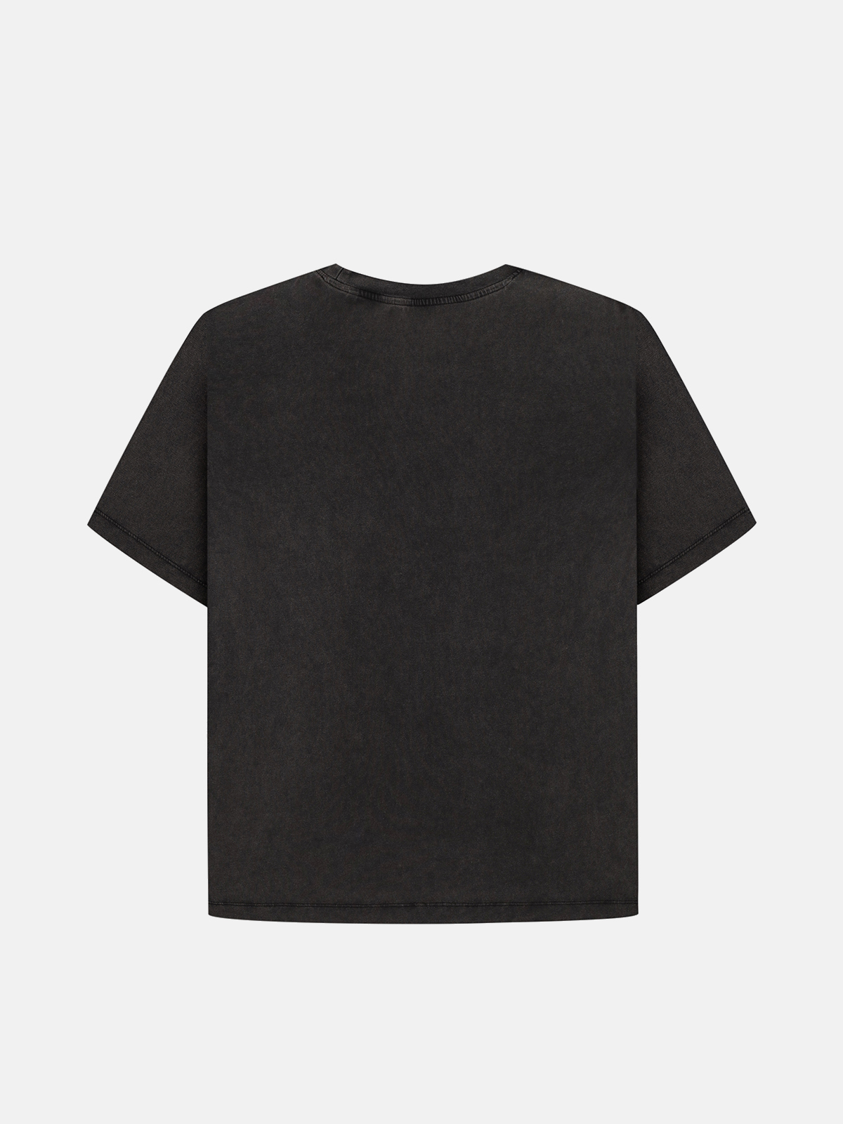 Peresvit Boxing Logo T-shirt Fade Out Wash, Photo № 2