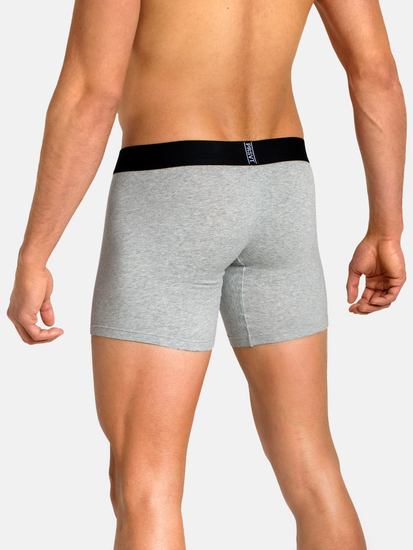 Peresvit Native Cotton Boxer Briefs Heather Grey, Photo № 2
