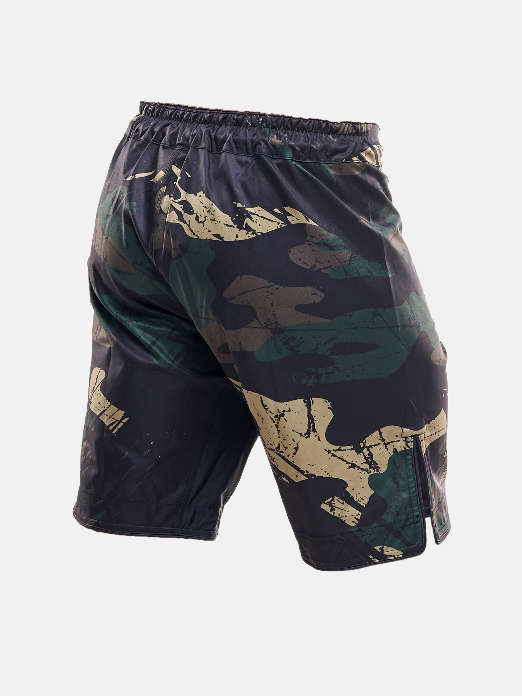 Peresvit Grunge Camo Legend Fight Shorts, Photo № 2